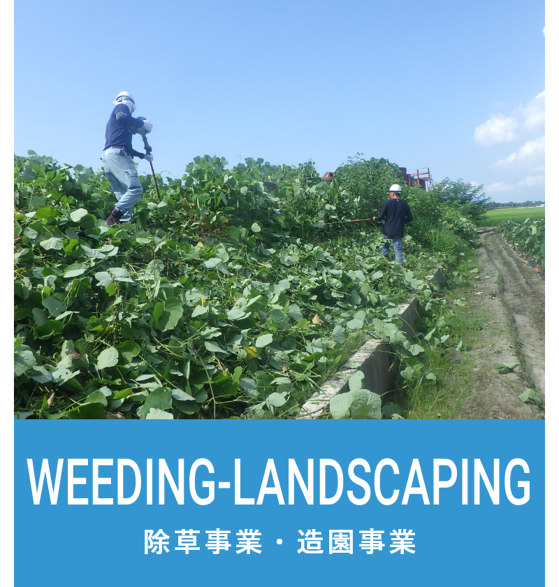 除草事業